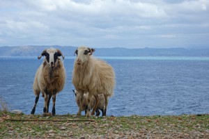 Photo de famille