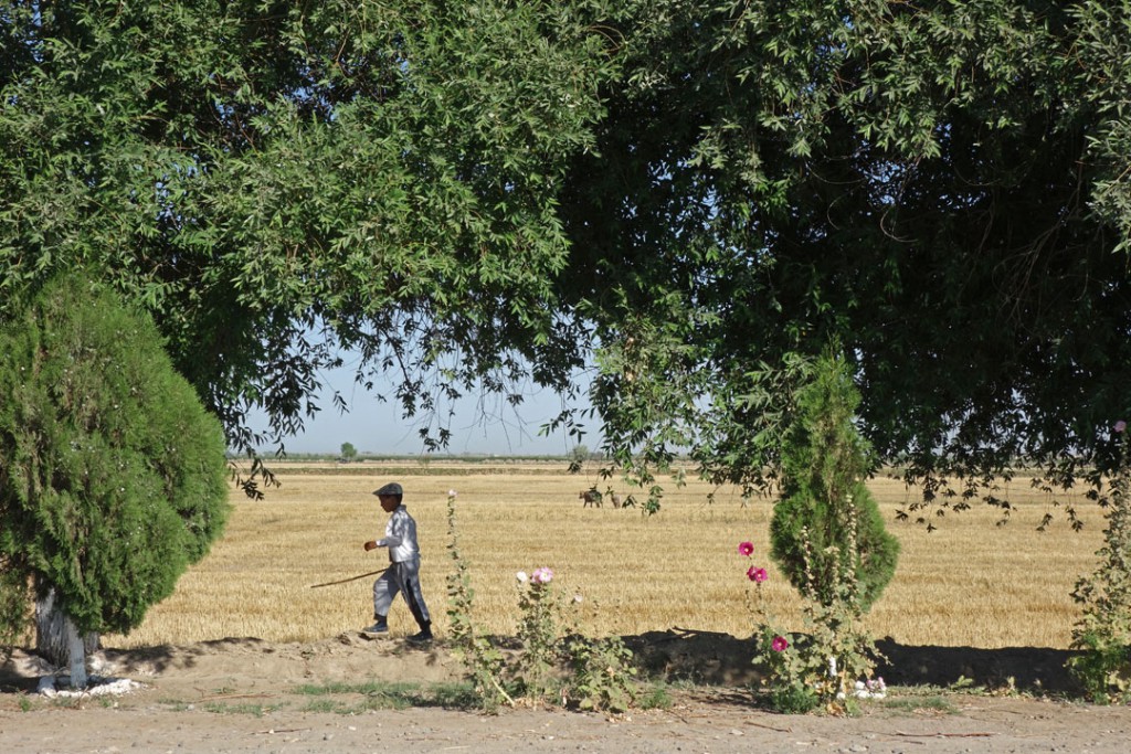 Le paysage change