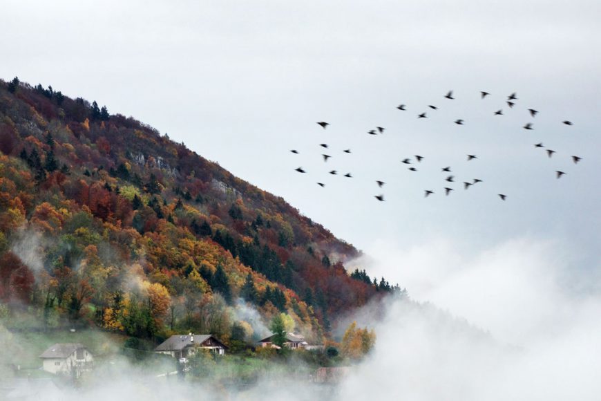 Couleurs d'automne